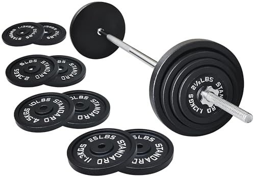 95 Lbs Cast Iron Standard Barbell Weight Set with Barbell Bar I8494