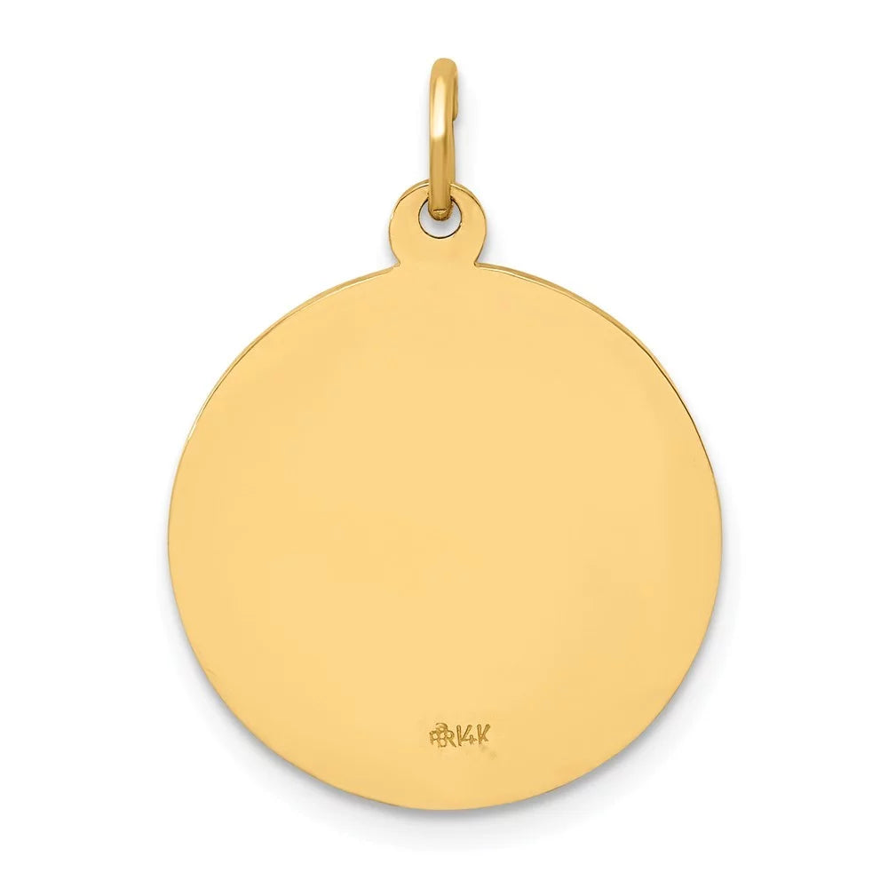 14k Gold Solid Polished Satin Small Round Medal Pendant Necklace 25x18mm M938