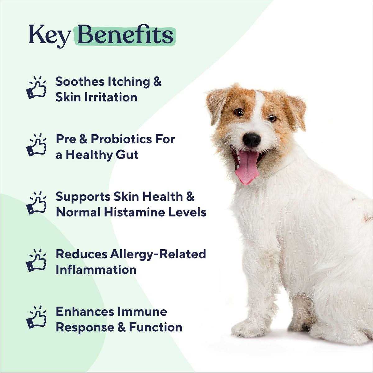 Allergy & Immune Chews Y366