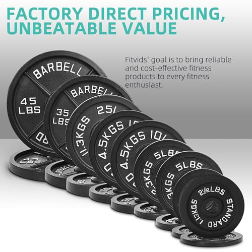 95 Lbs Cast Iron Standard Barbell Weight Set with Barbell Bar I8494