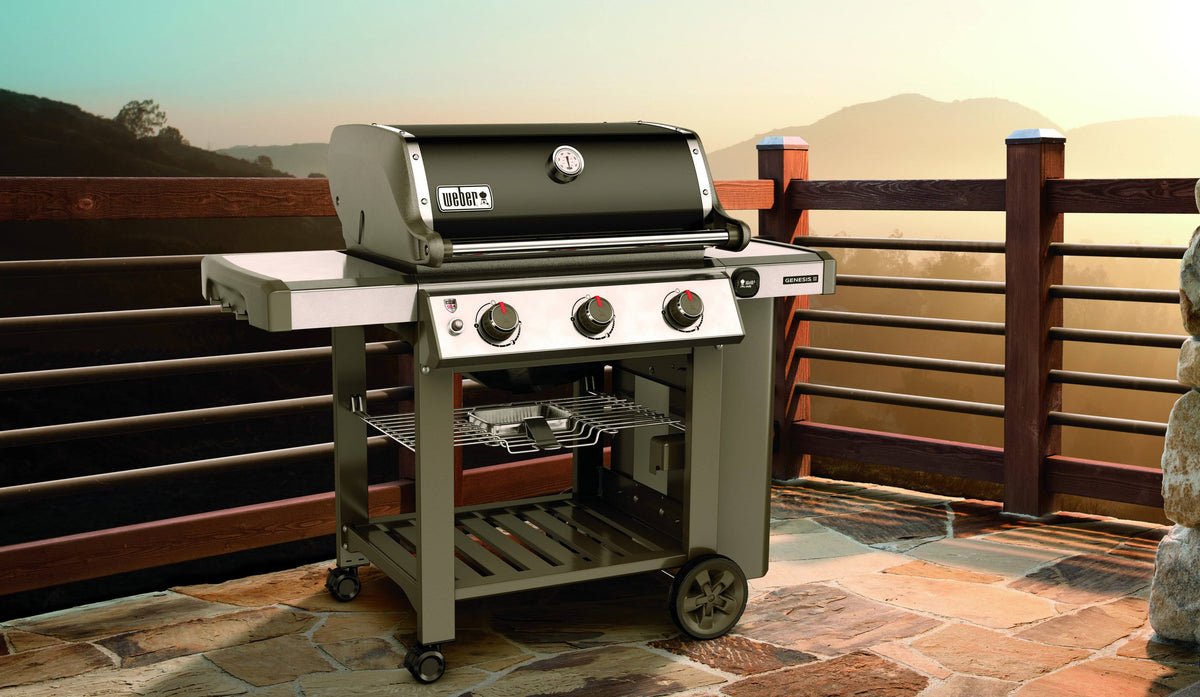 Natural Gas Grill Black E659