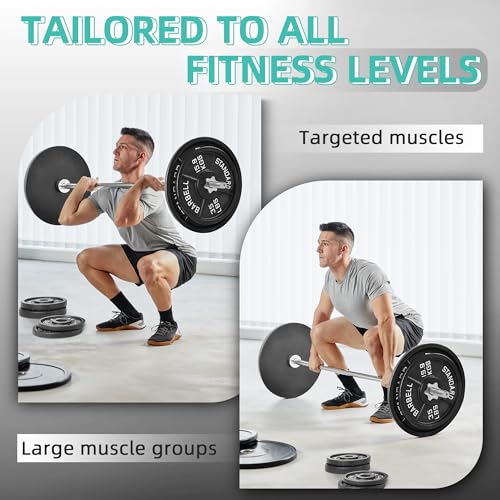 95 Lbs Cast Iron Standard Barbell Weight Set with Barbell Bar I8494