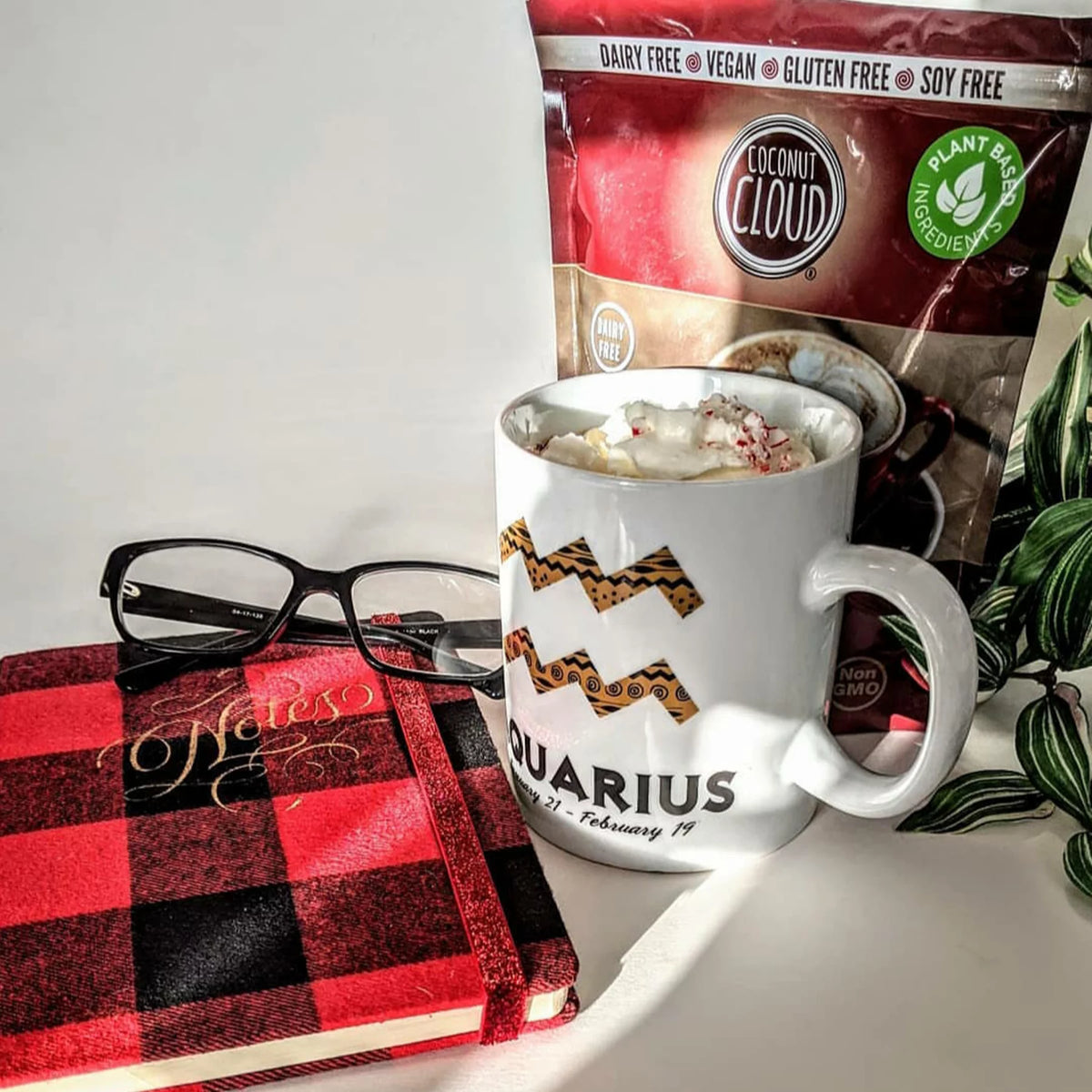 Vegan Instant Hot Cocoa Mix H31959