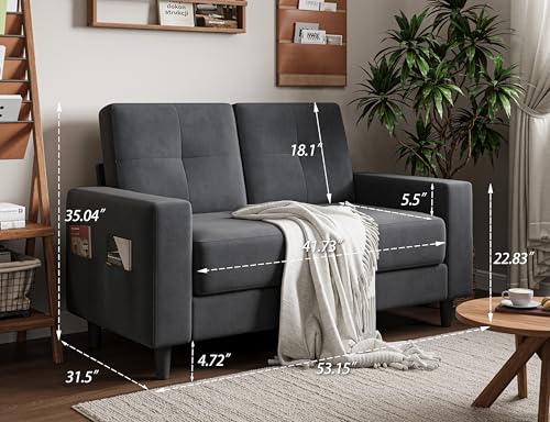 Brown 53" 2 Seater Loveseat Sofa J8484