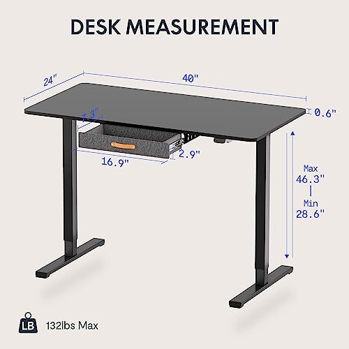 48 x 24 Inches Electric Standing Desk with Drawer C219281