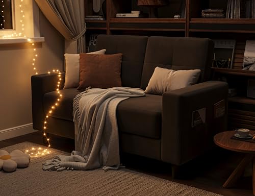 Brown 53" 2 Seater Loveseat Sofa J8484