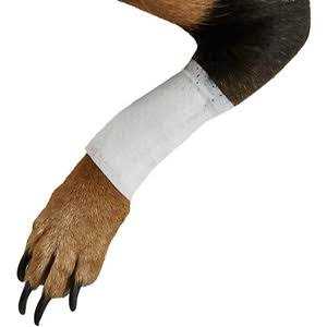 Pet Bandages Protective Covers L13222