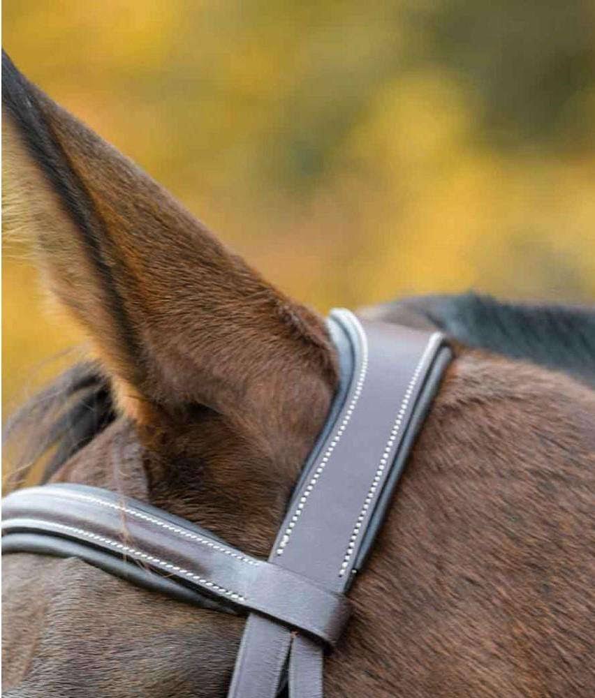 Ocala Bridle Pony K627