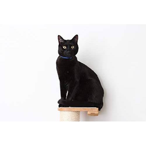 Cat Mod Climbing Vertical Sisal Pole Wall, Unfinished M182