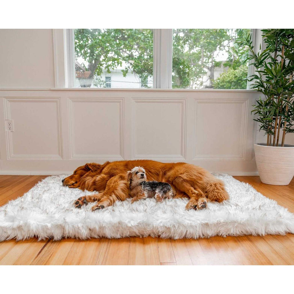 Faux Fur Orthopedic Dog Bed T4317