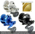Gold 2-Speed Lever Drag Casting Reels E348549