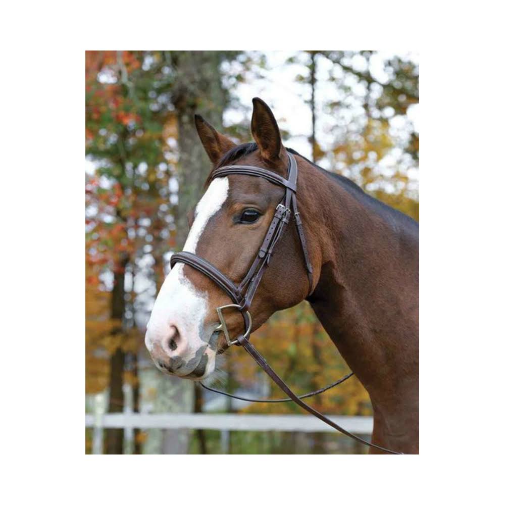 Ocala Bridle Pony K627
