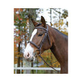 Ocala Bridle Pony K627