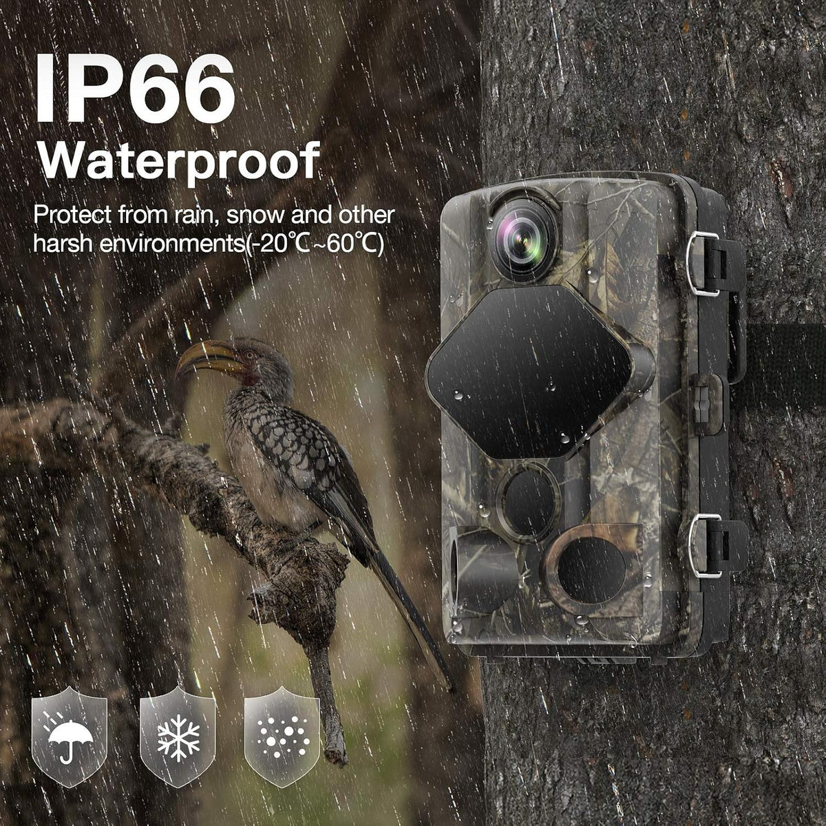 4K 24MP WiFi Trail Camera with Night Vision, IP66 Waterproof, Pack of 2 P869