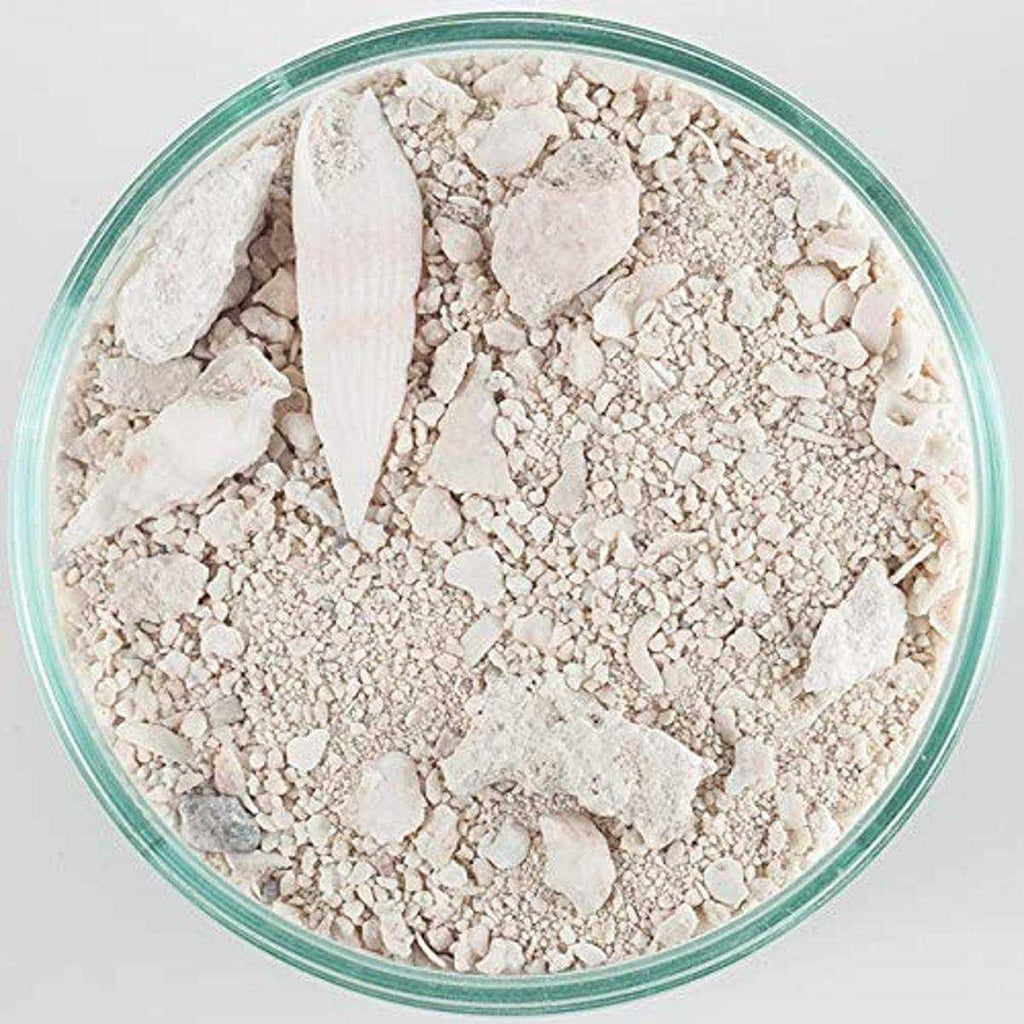 Natural Live Sand C621042