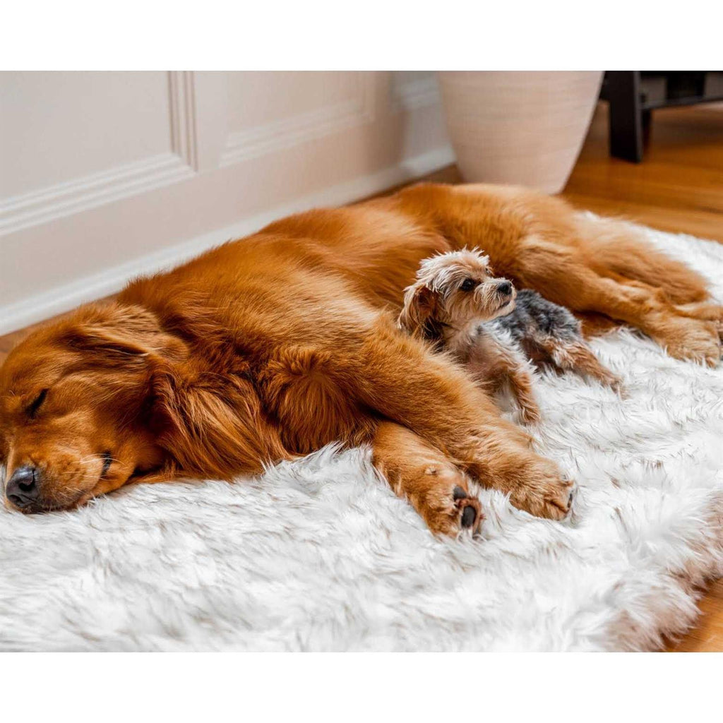 Faux Fur Orthopedic Dog Bed T4317