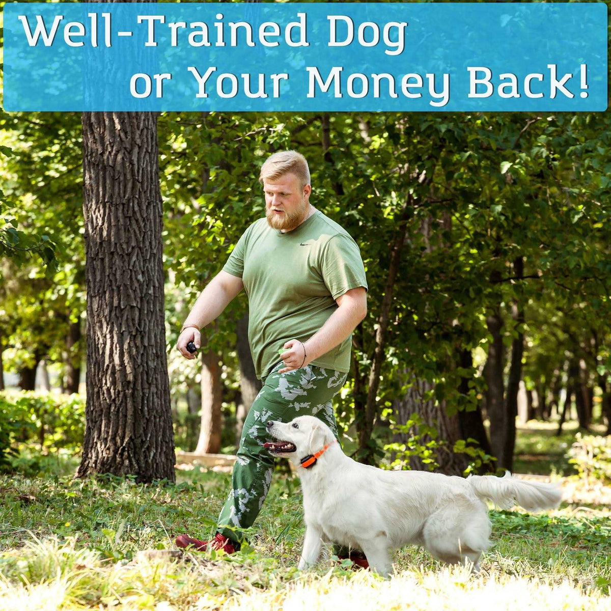 Remote Dog Training Collar X610