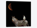 Canvas Art Picture - Pilgrimage - Zebras Art F22453