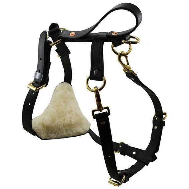 Biothane Multi-Function Harness D5017