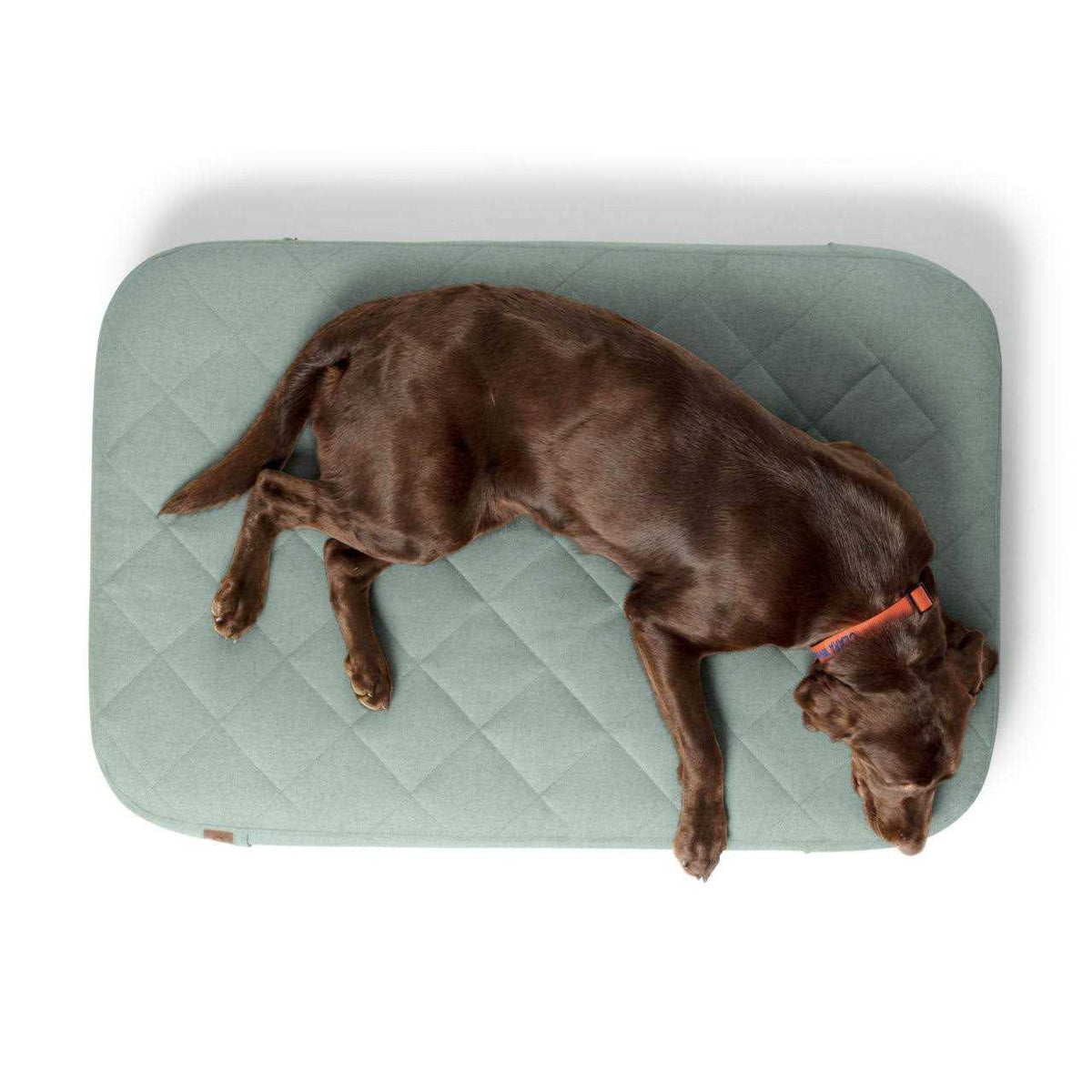 Dog Bed E85790