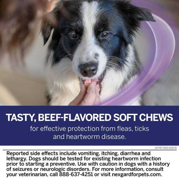 Chew for Dogs C981304