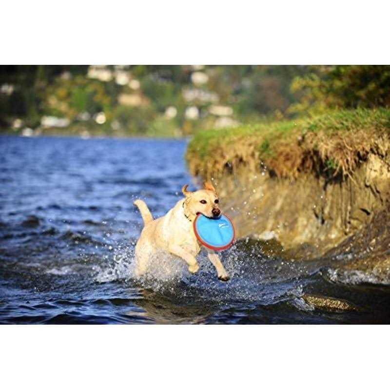 Dog Toy V49845