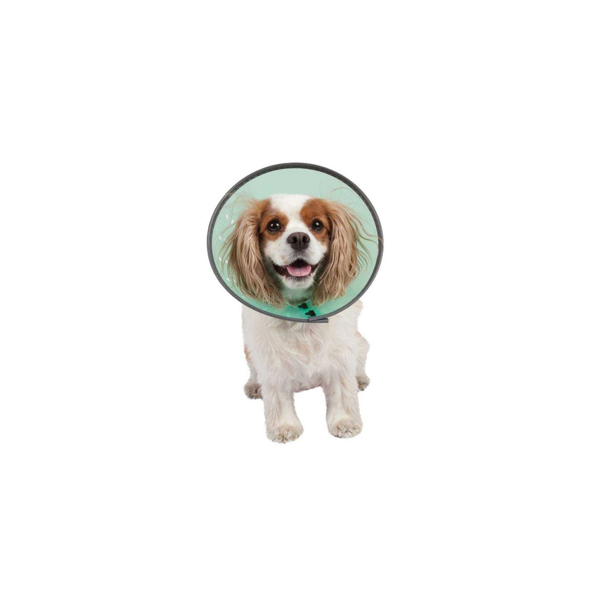 Dog E-Collar H294