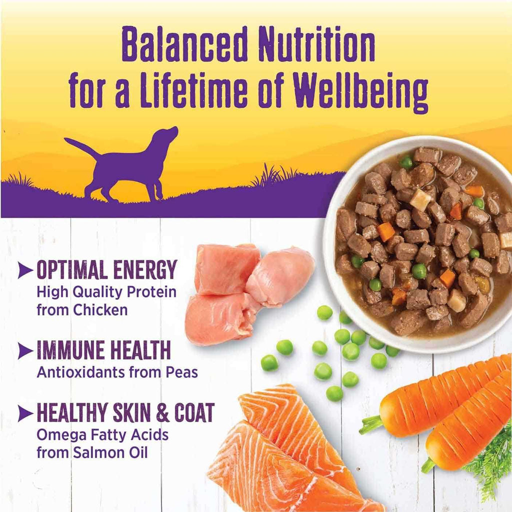 Grain Free Chicken Stew Dog Food Q91967