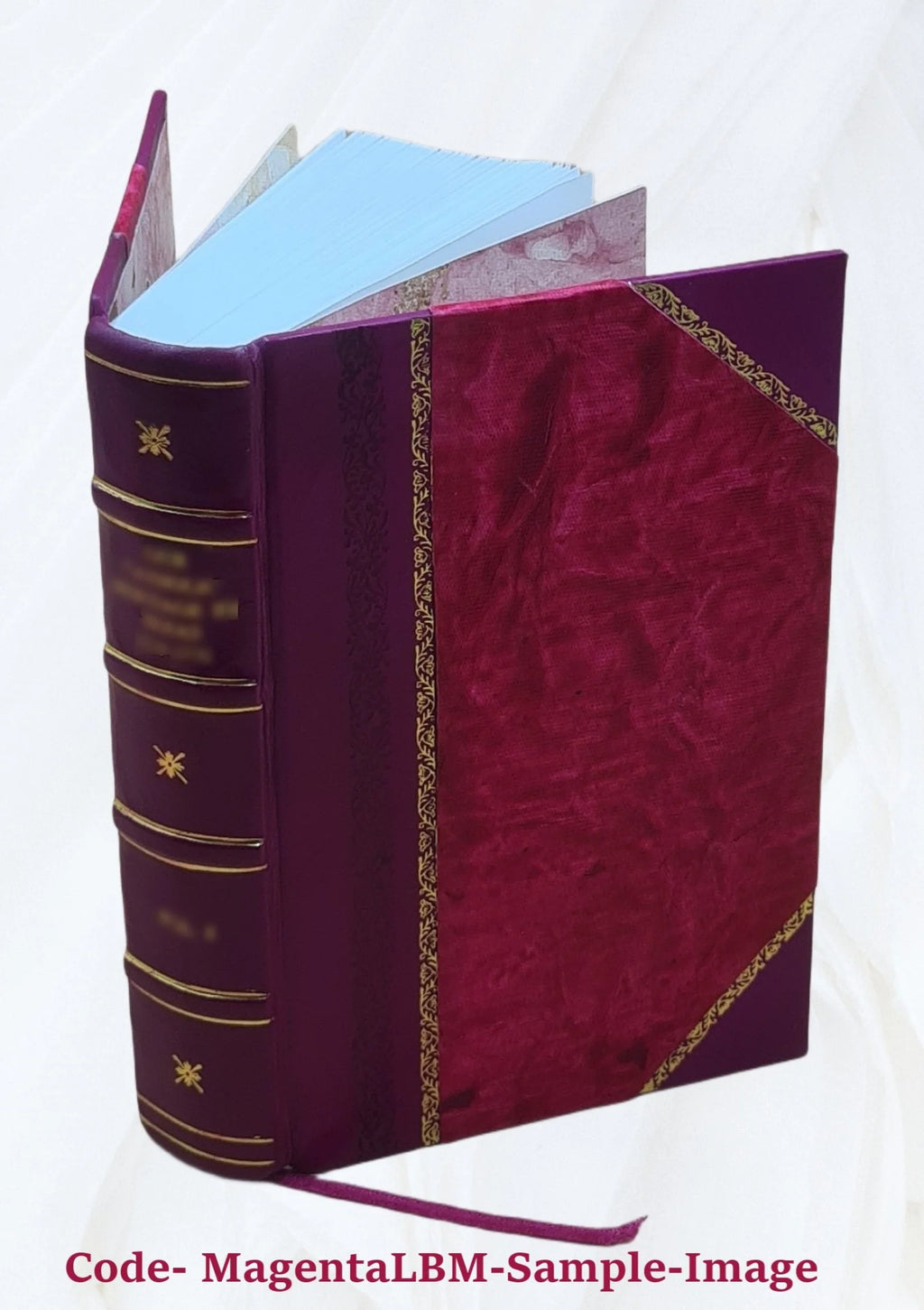 Vol. 2 Leather Bound Z694531