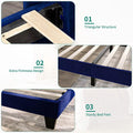Navy Blue Velvet Upholstered Platform Bed Full F55168