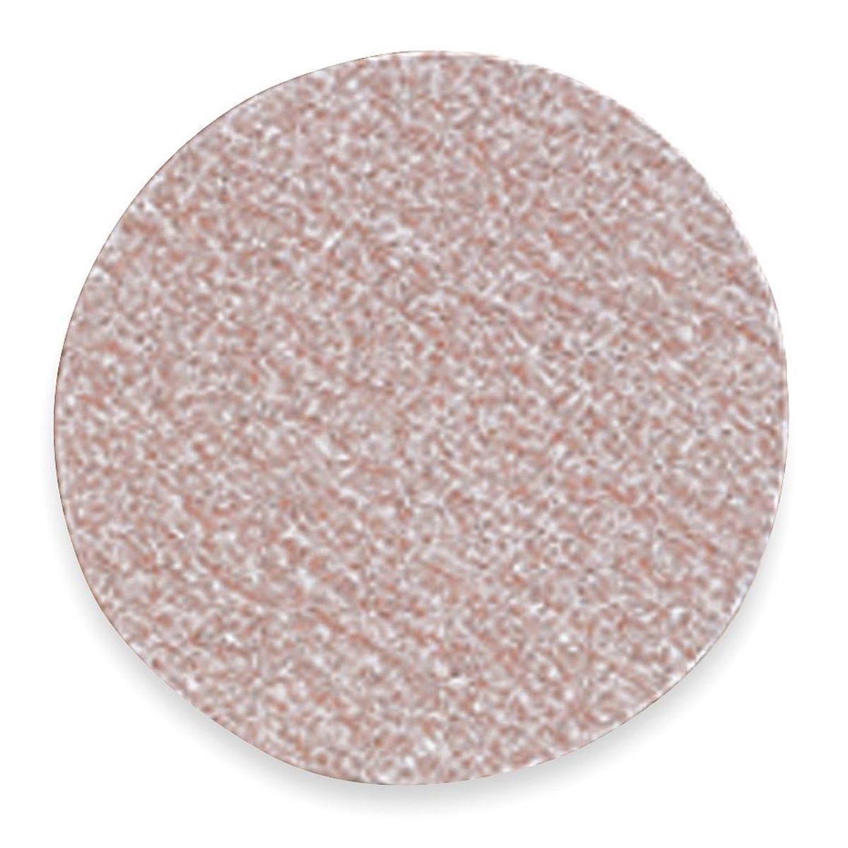5 in P180g Sanding Disc, PK100 U769