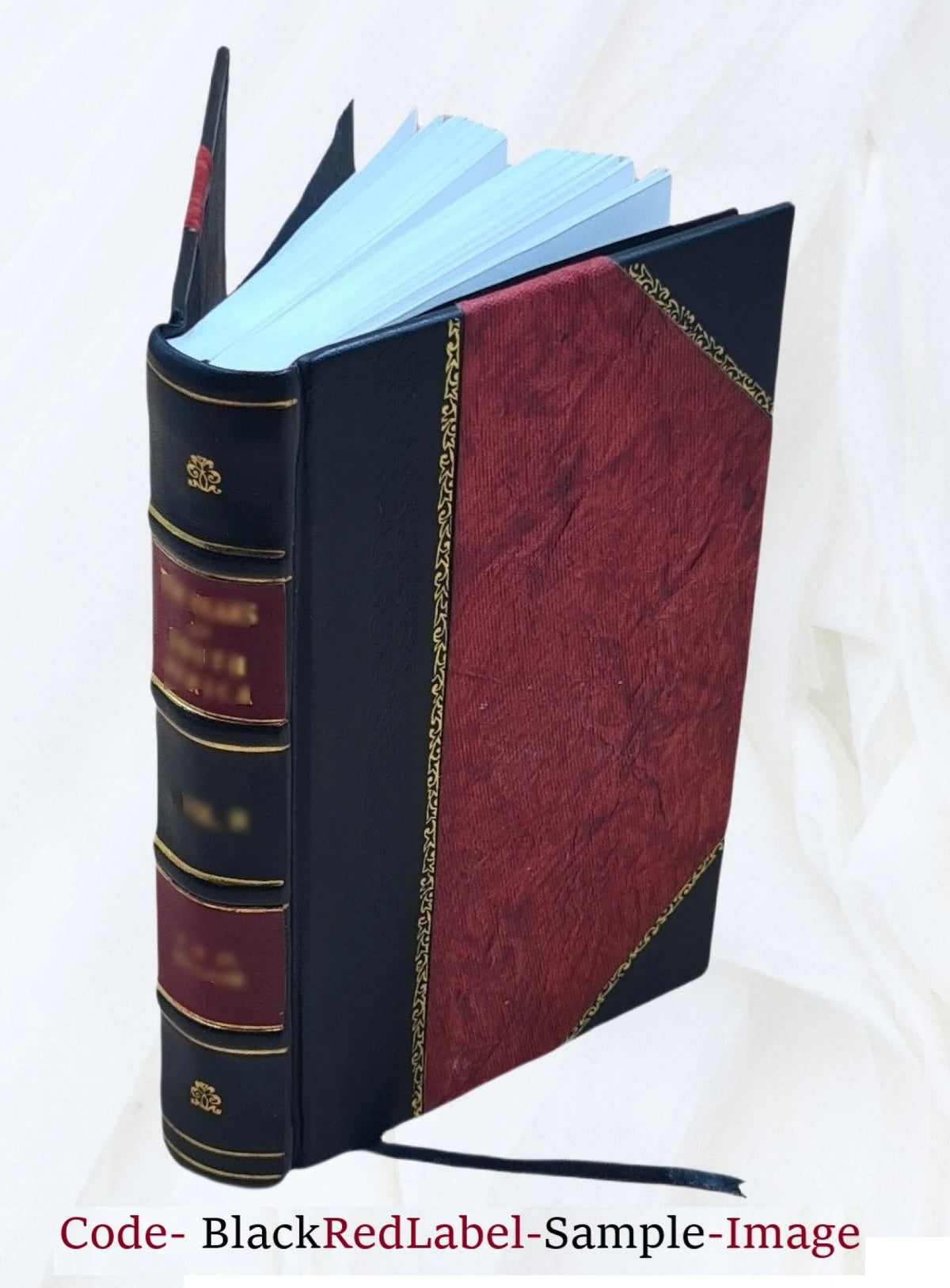 Reminiscences of Scottish Life and Character Leather Bound Q7433